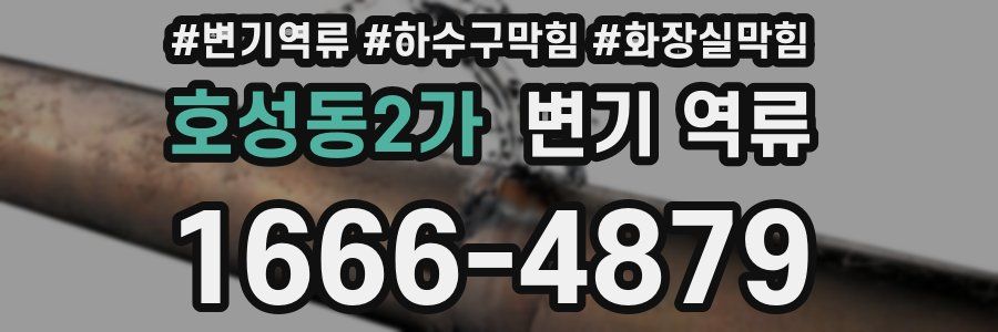 호성동2가 변기 역류