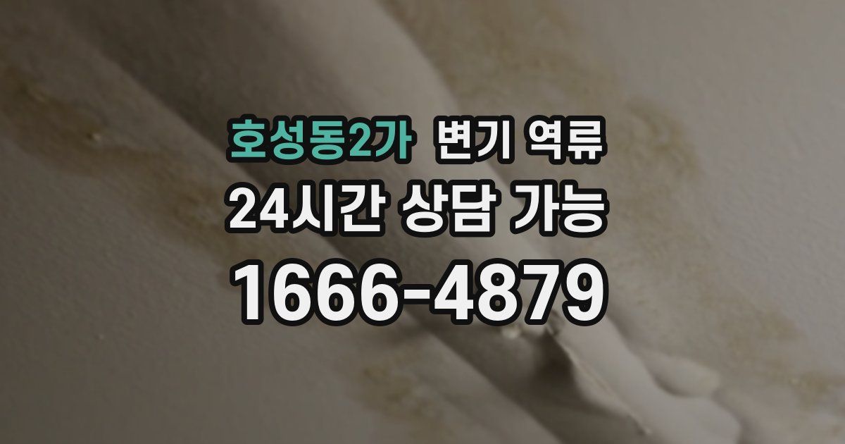 호성동2가 변기 역류