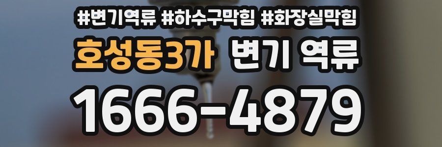 호성동3가 변기 역류