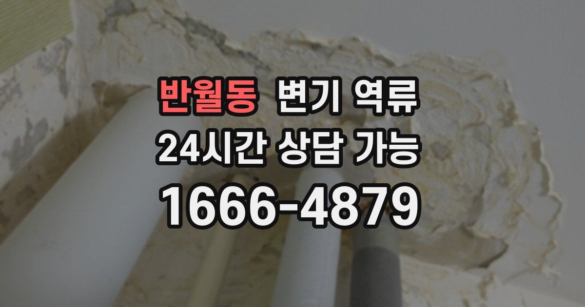 반월동 변기 역류