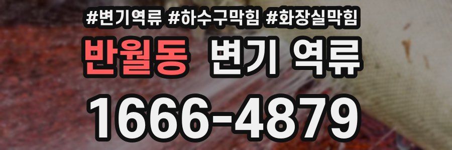 반월동 변기 역류