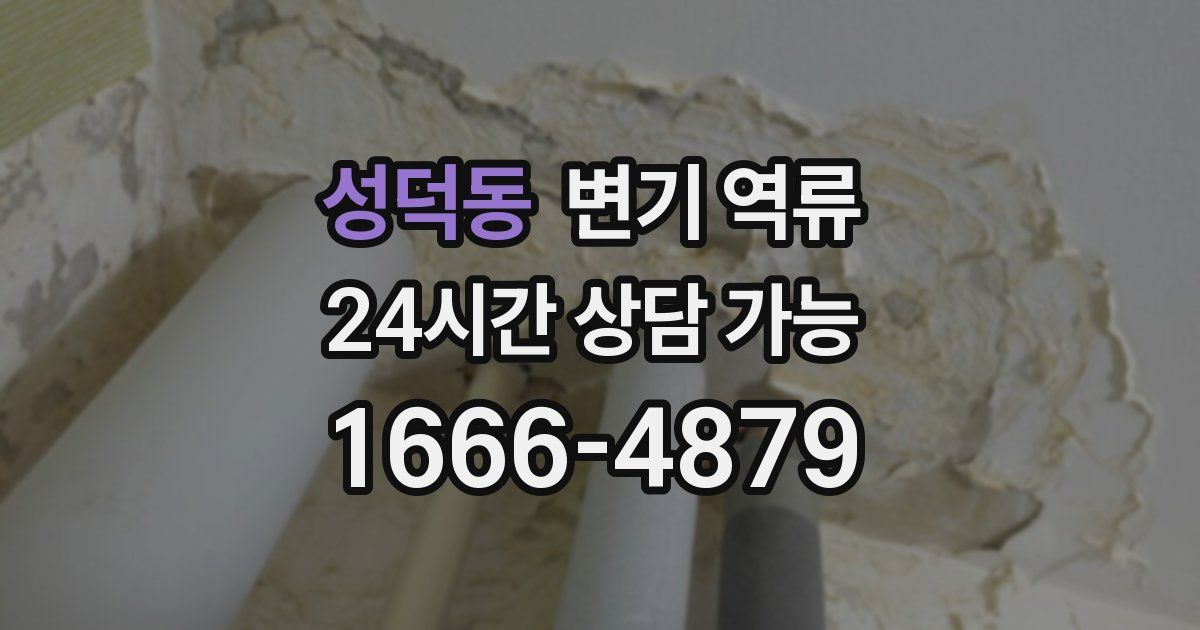 성덕동 변기 역류