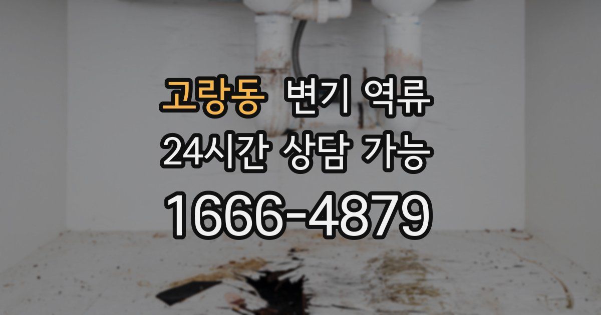 고랑동 변기 역류