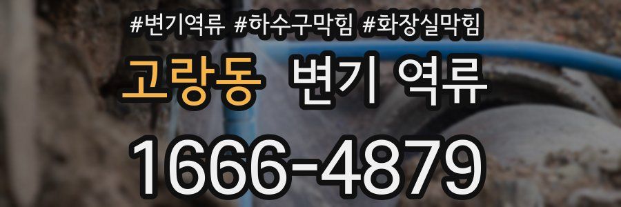 고랑동 변기 역류
