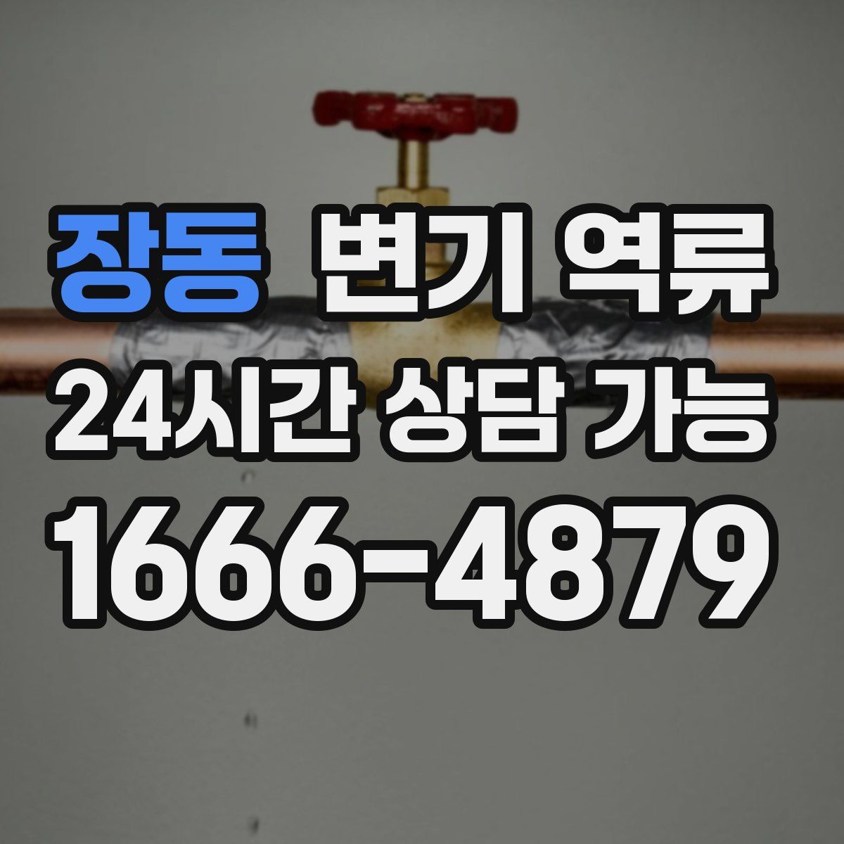 장동 변기 역류