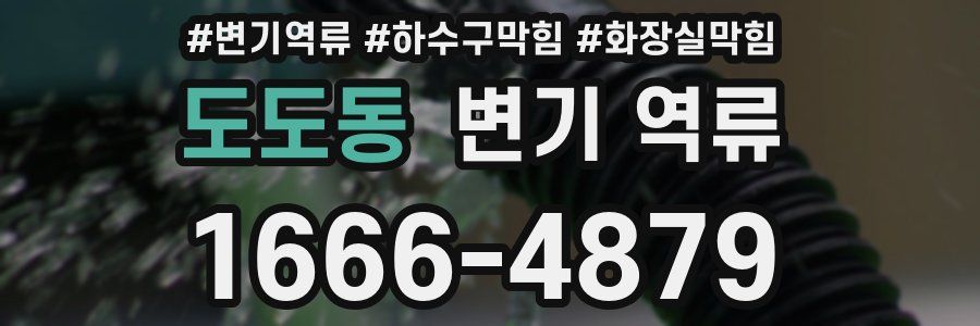 도도동 변기 역류