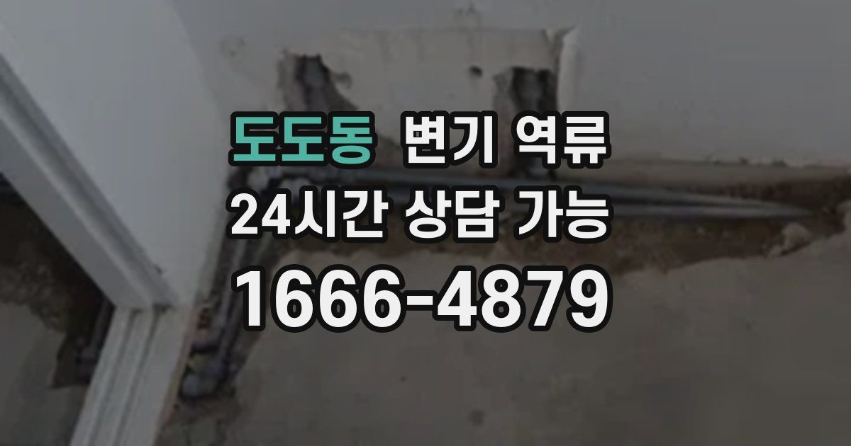 도도동 변기 역류