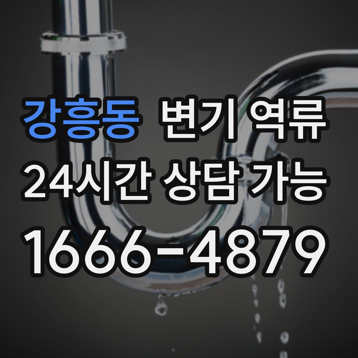 강흥동 변기 역류