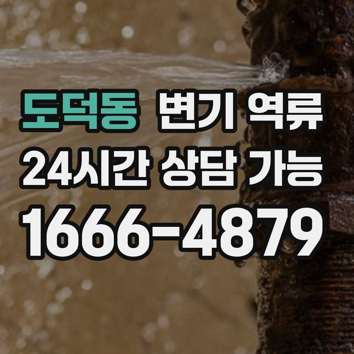 도덕동 변기 역류 변기만 문제인지 다른 배수구도 느린지 확인