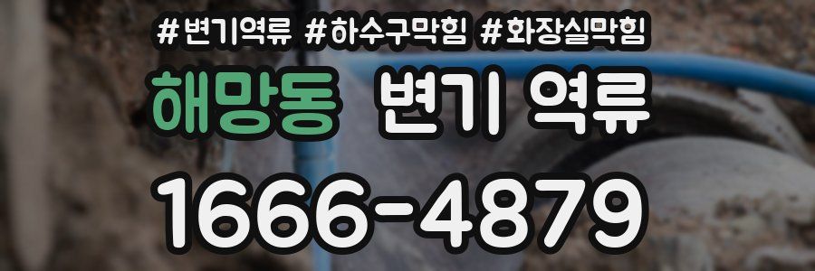 해망동 변기 역류
