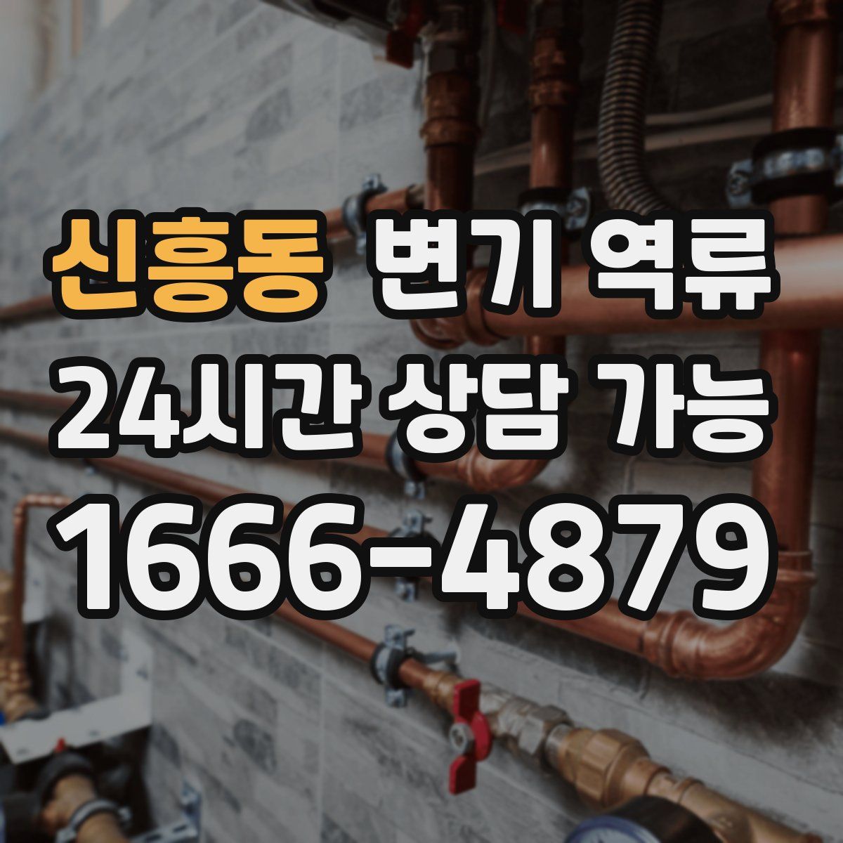 신흥동 변기 역류