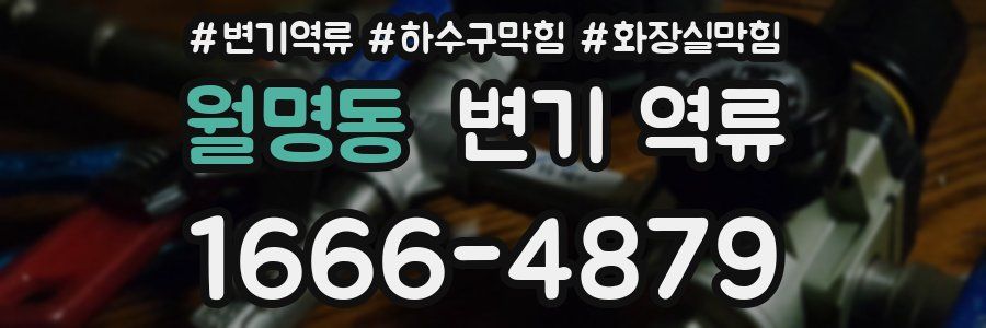 월명동 변기 역류