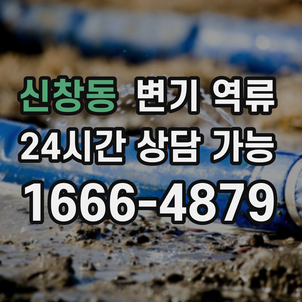 신창동 변기 역류