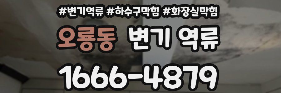 오룡동 변기 역류