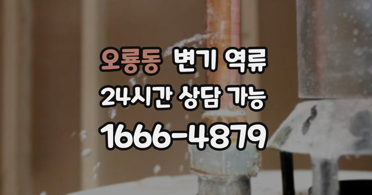 오룡동 변기 역류