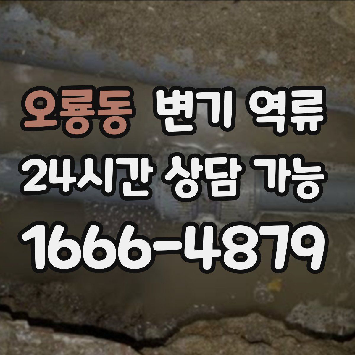 오룡동 변기 역류