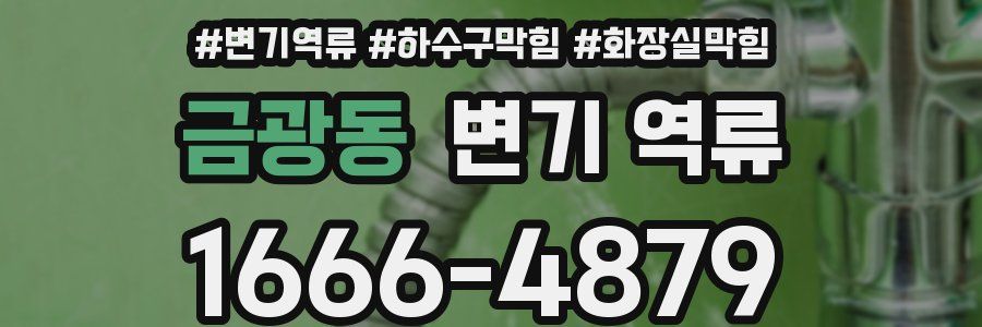 금광동 변기 역류