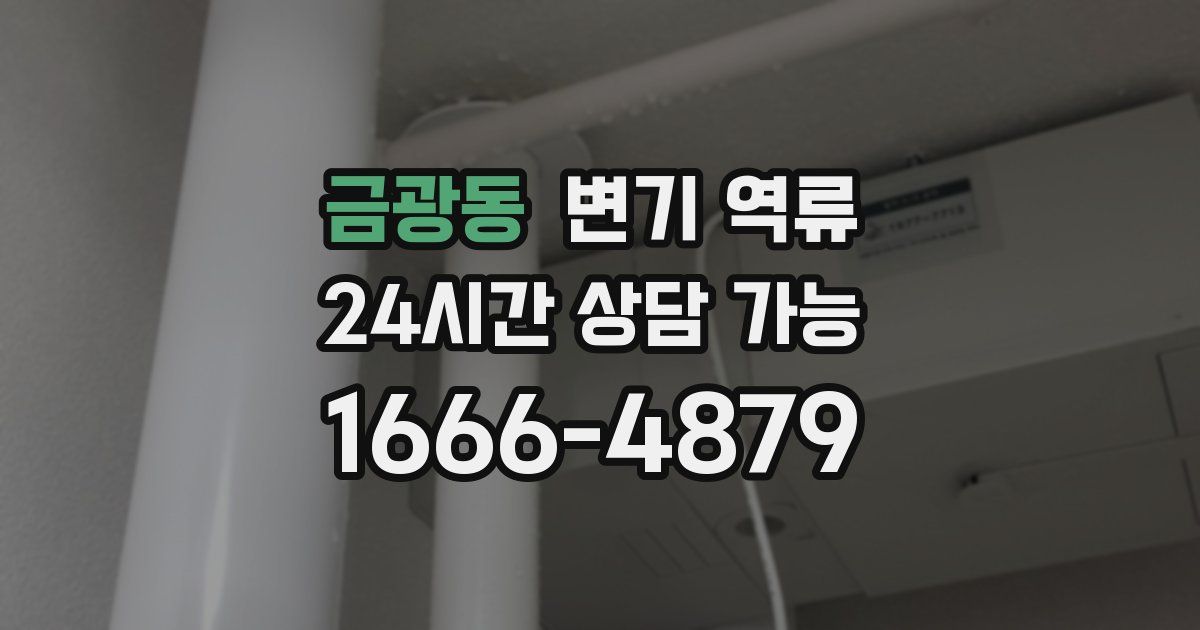 금광동 변기 역류