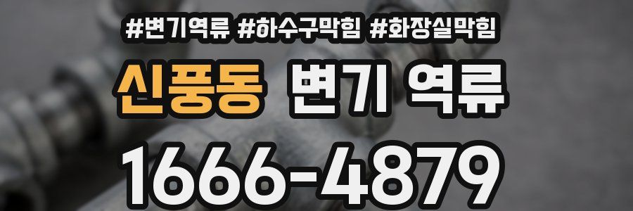 신풍동 변기 역류