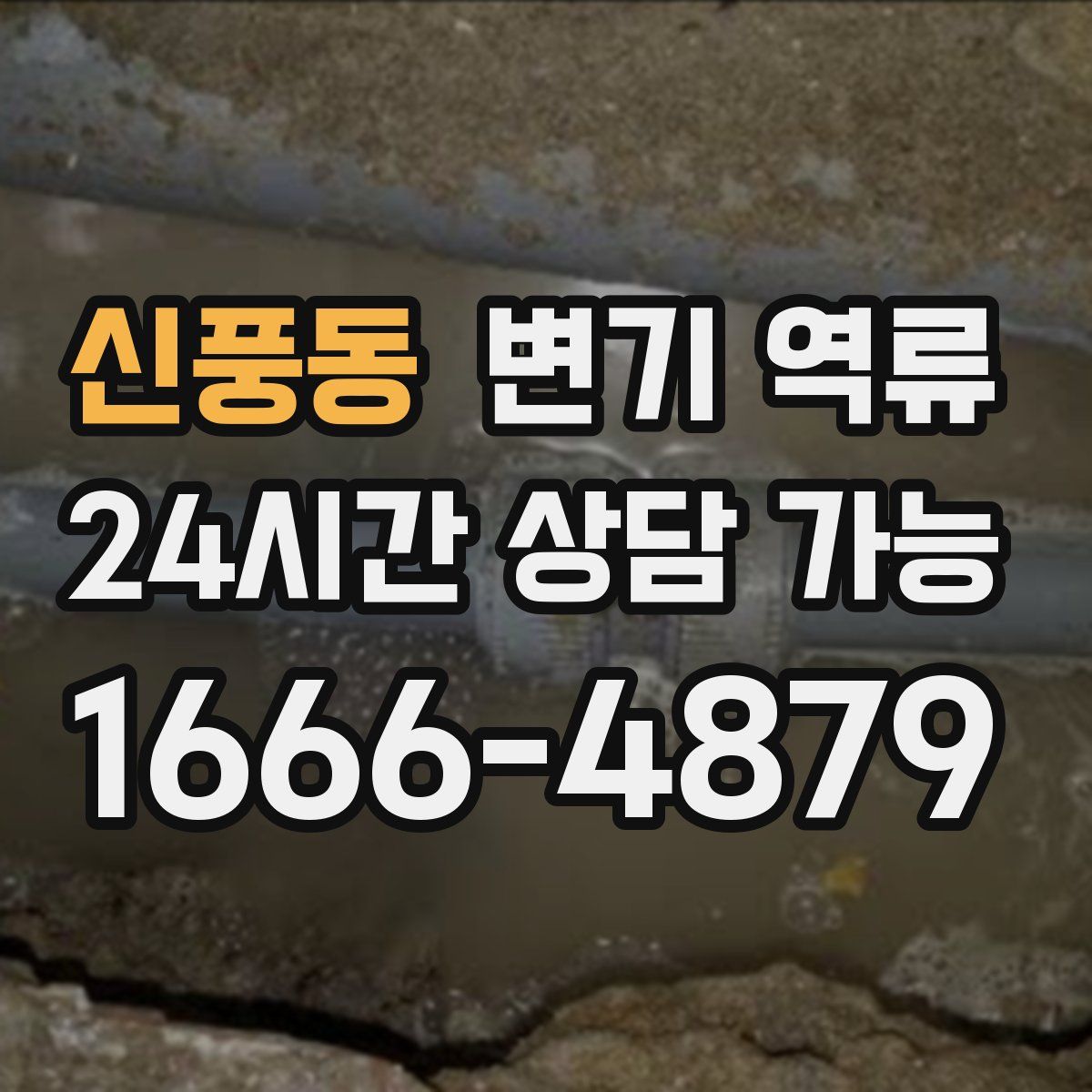 신풍동 변기 역류