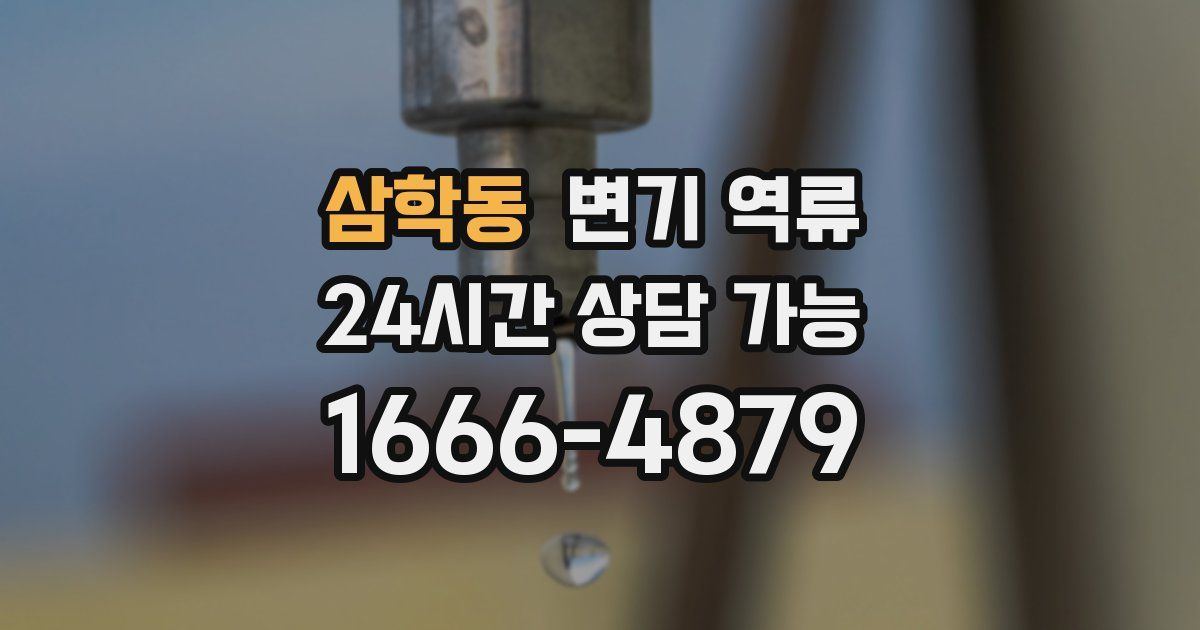 삼학동 변기 역류