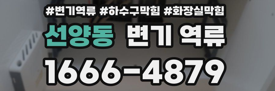 선양동 변기 역류
