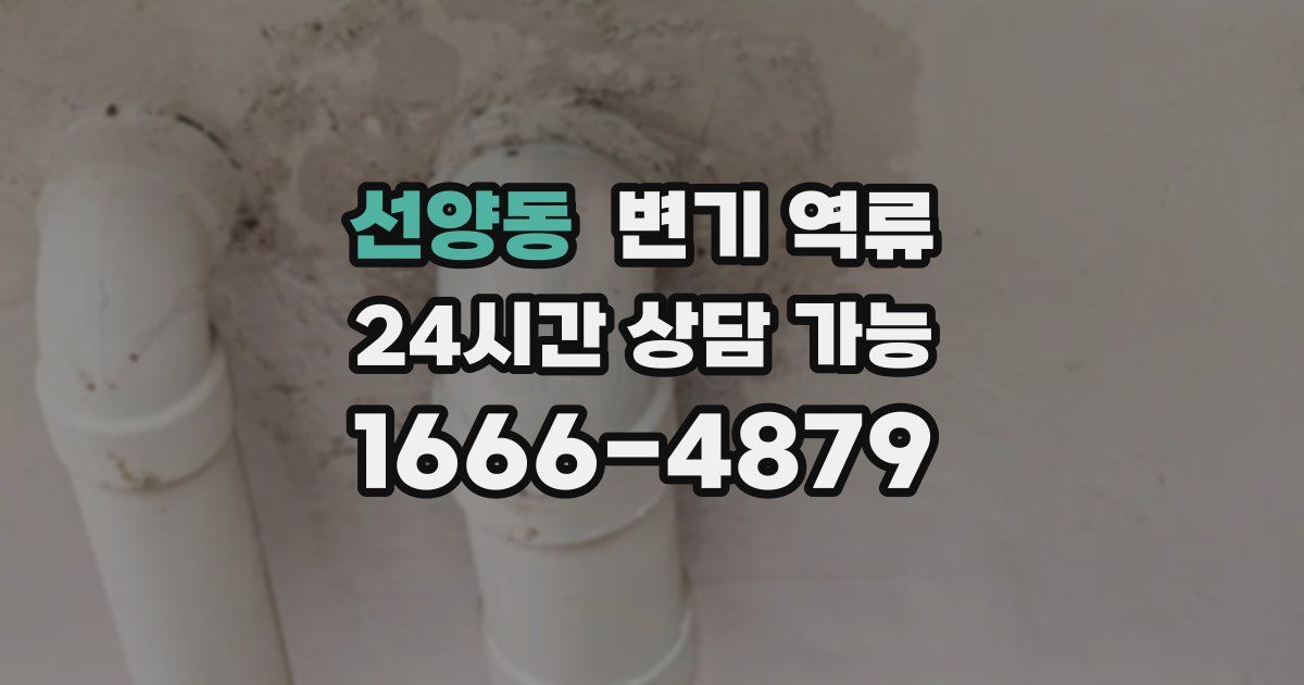 선양동 변기 역류