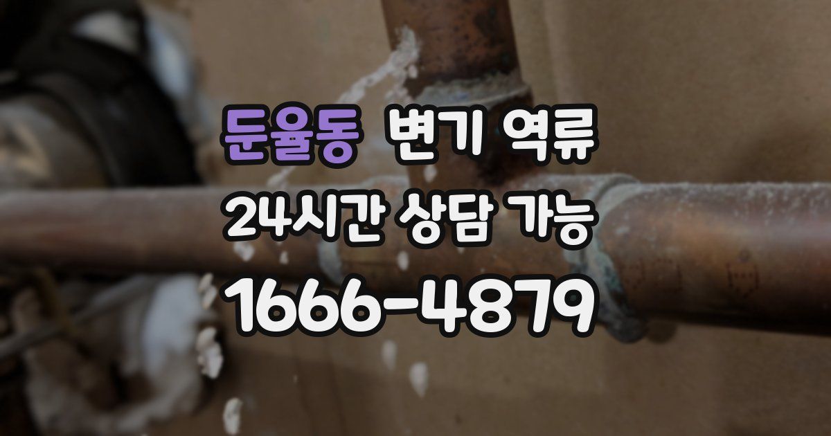 둔율동 변기 역류