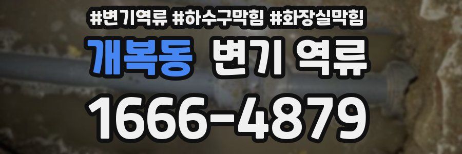 개복동 변기 역류