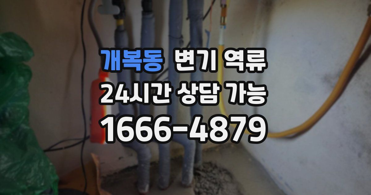 개복동 변기 역류