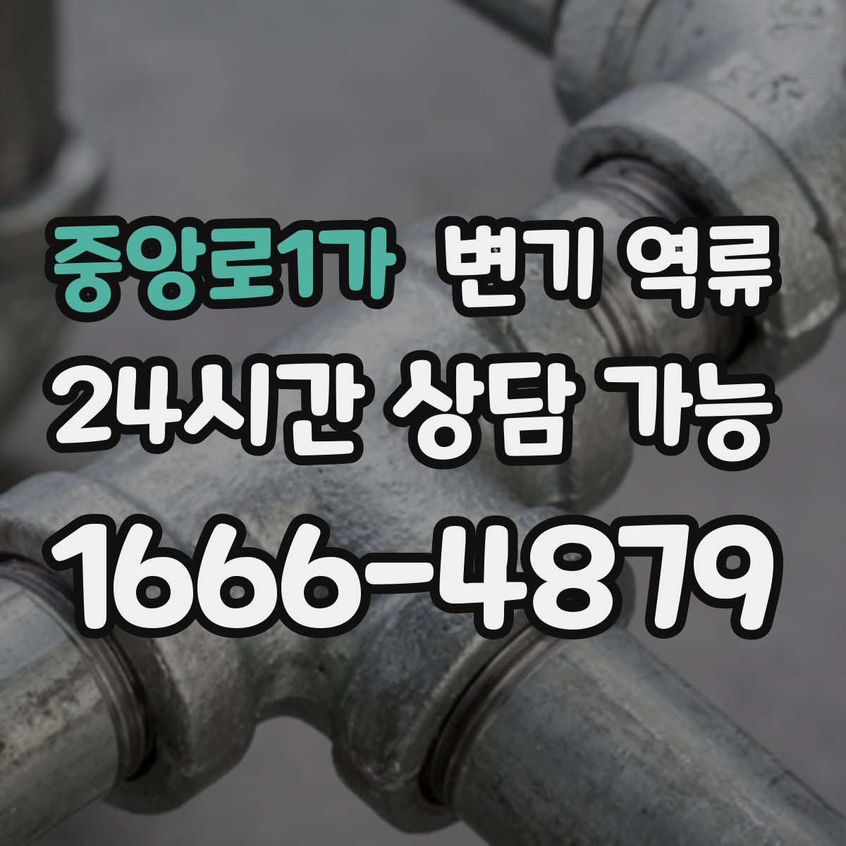 중앙로1가 변기 역류