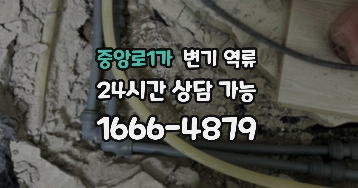 중앙로1가 변기 역류