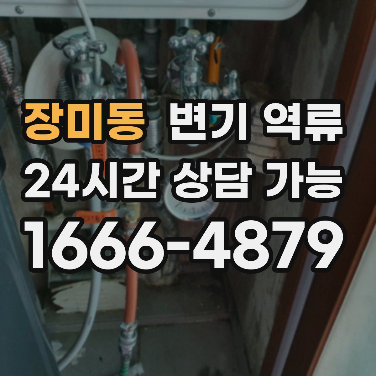 장미동 변기 역류