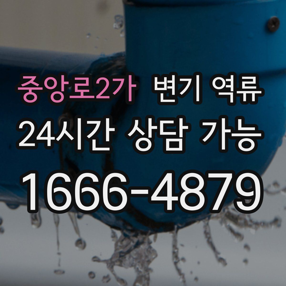 중앙로2가 변기 역류