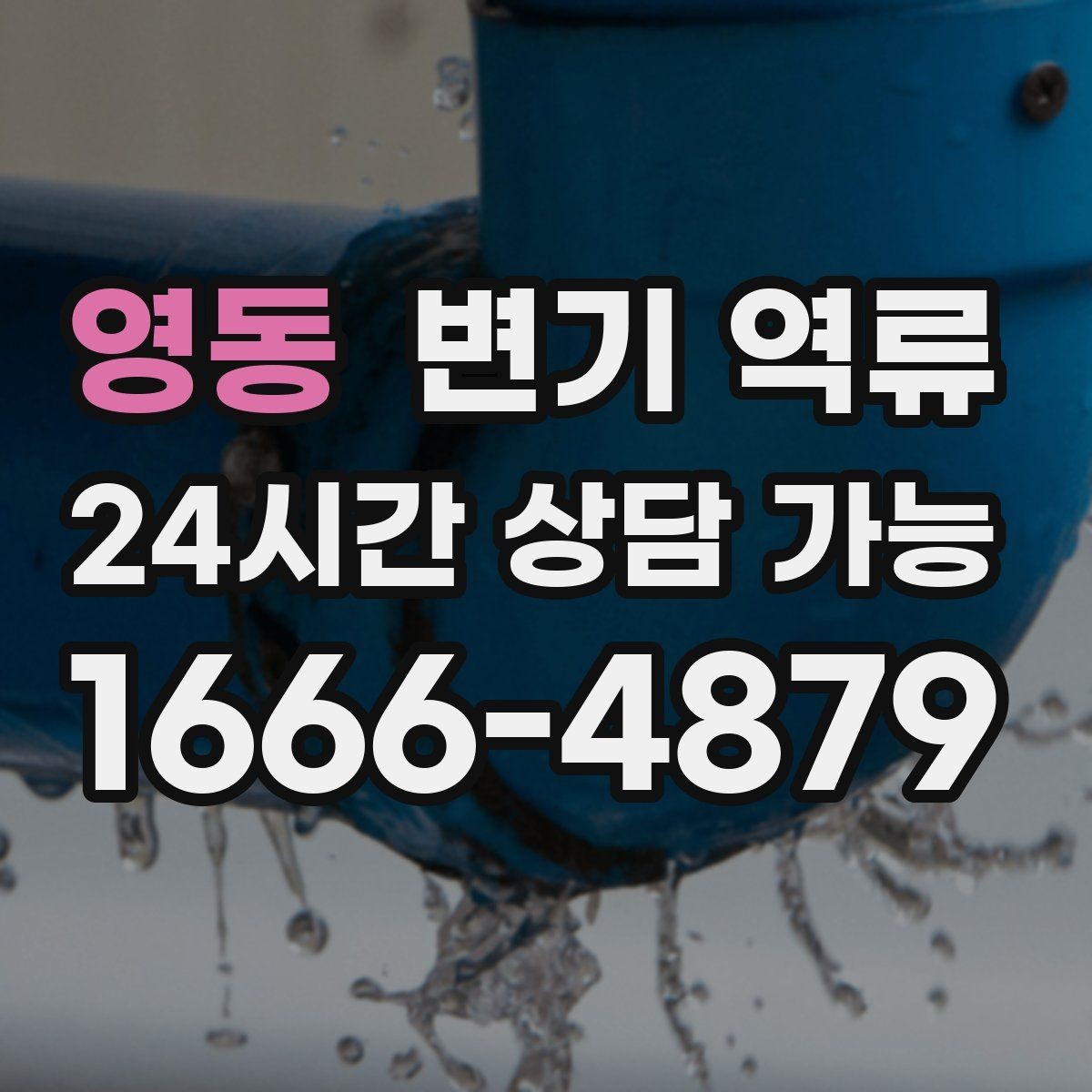 영동 변기 역류 변기만 문제인지 다른 배수구도 느린지 확인