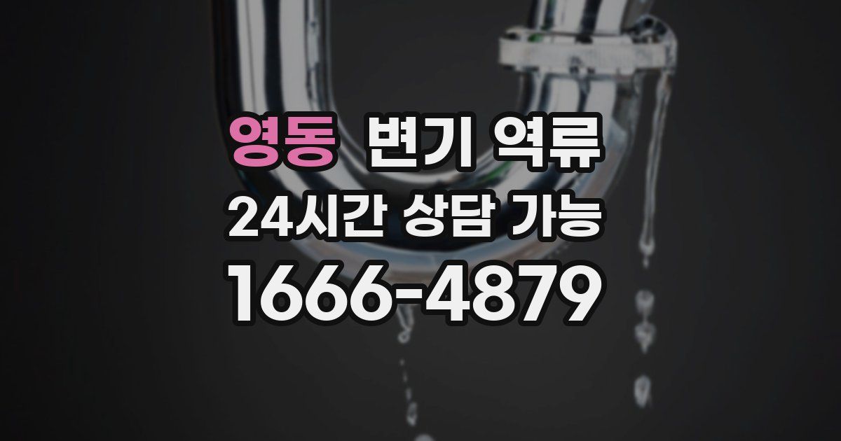 영동 변기 역류