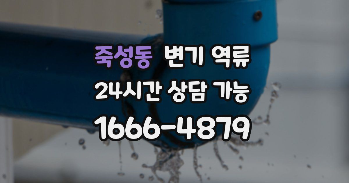 죽성동 변기 역류