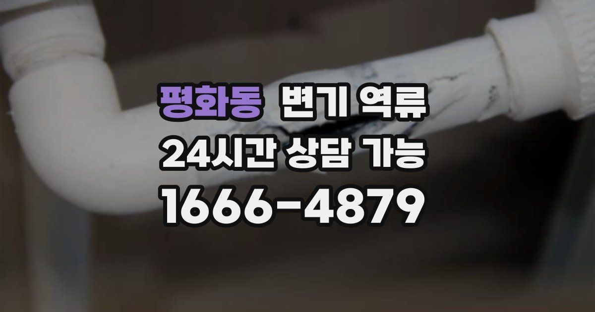 평화동 변기 역류