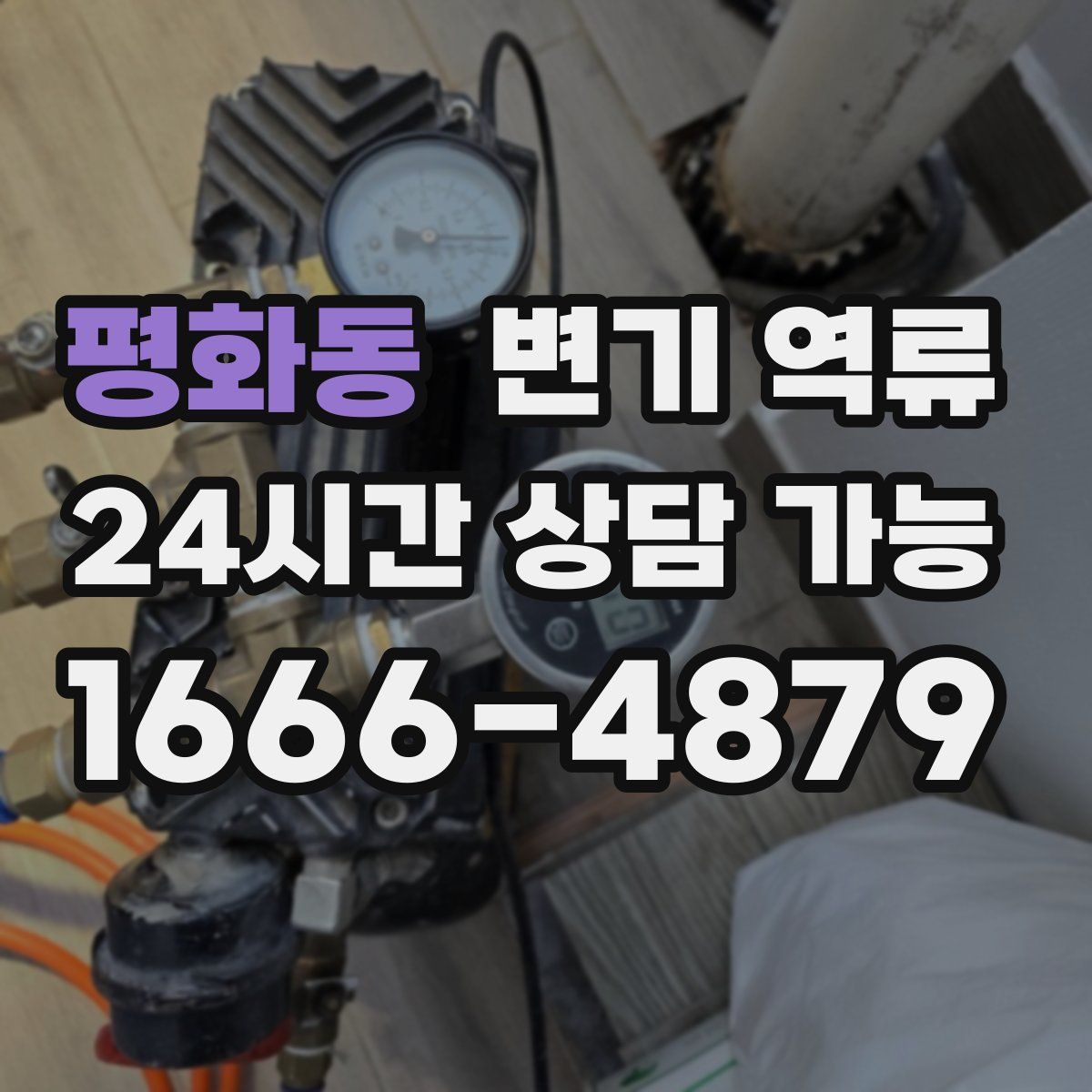 평화동 변기 역류