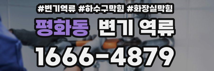 평화동 변기 역류