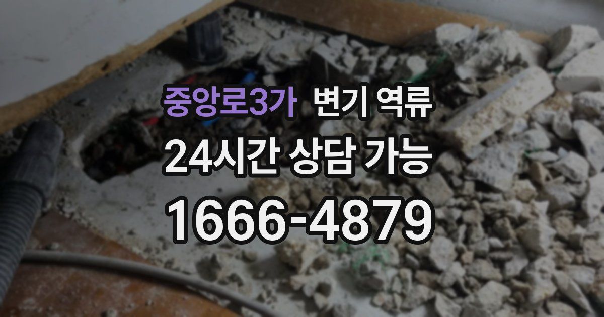 중앙로3가 변기 역류