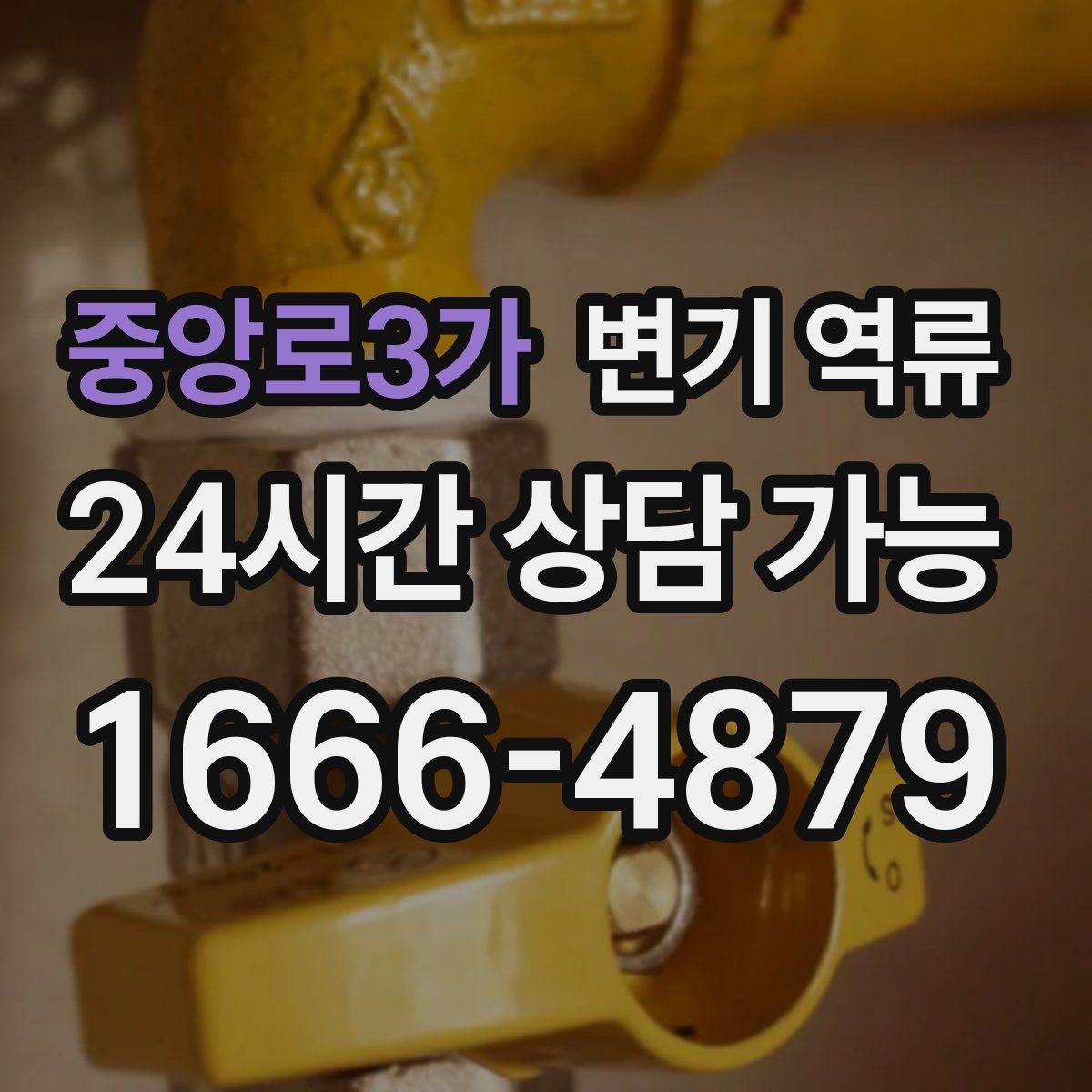 중앙로3가 변기 역류