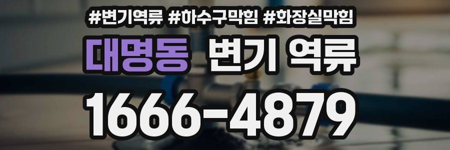 대명동 변기 역류