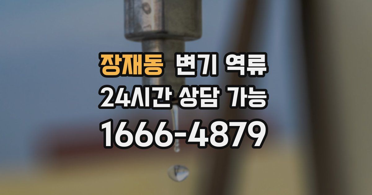 장재동 변기 역류