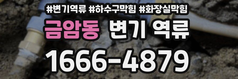 금암동 변기 역류