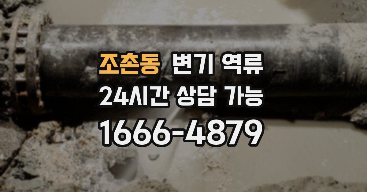 조촌동 변기 역류