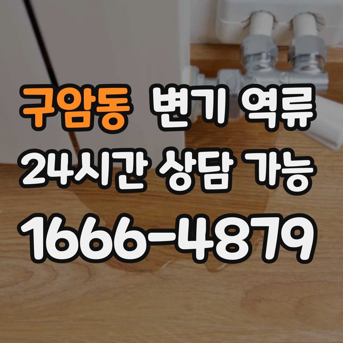 구암동 변기 역류