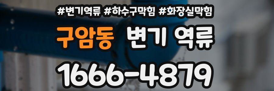 구암동 변기 역류