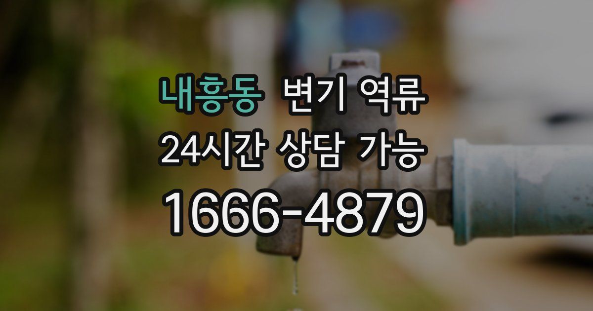 내흥동 변기 역류