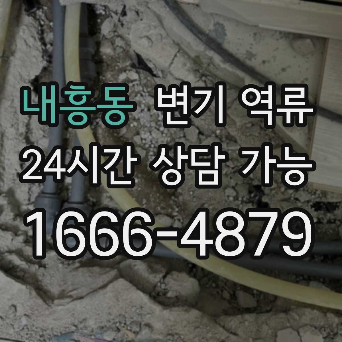 내흥동 변기 역류